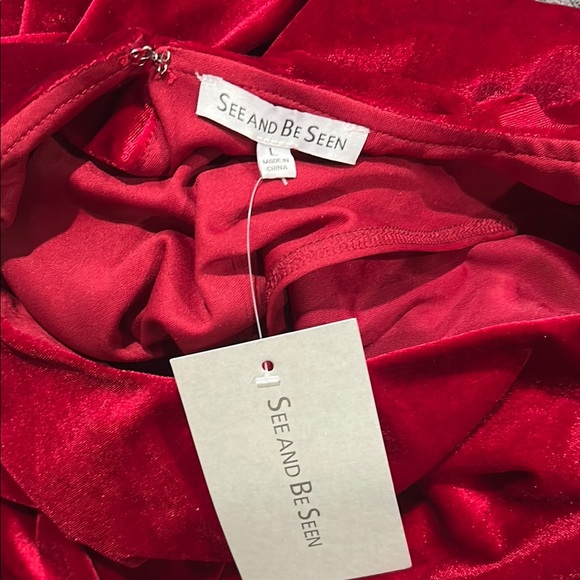 Elegant Red Velvet Maxi Dress - Picture 3 of 3